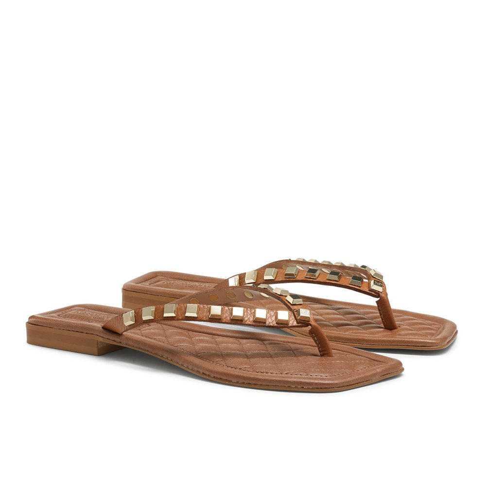Brown Russell And Bromley Cairo Stud Toe Post Women's Flat Sandals | CA-7014N