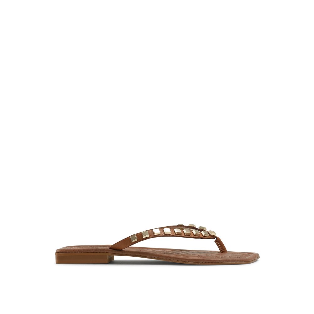 Brown Russell And Bromley Cairo Stud Toe Post Women\'s Flat Sandals | CA-7014N