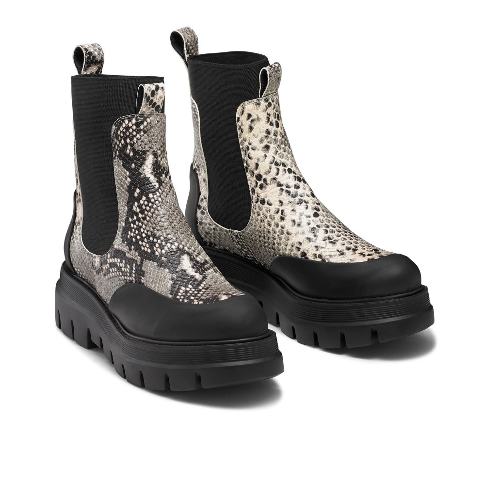 Snake / Black Russell And Bromley Conquer Women's Chelsea Boots | CA-3671Z