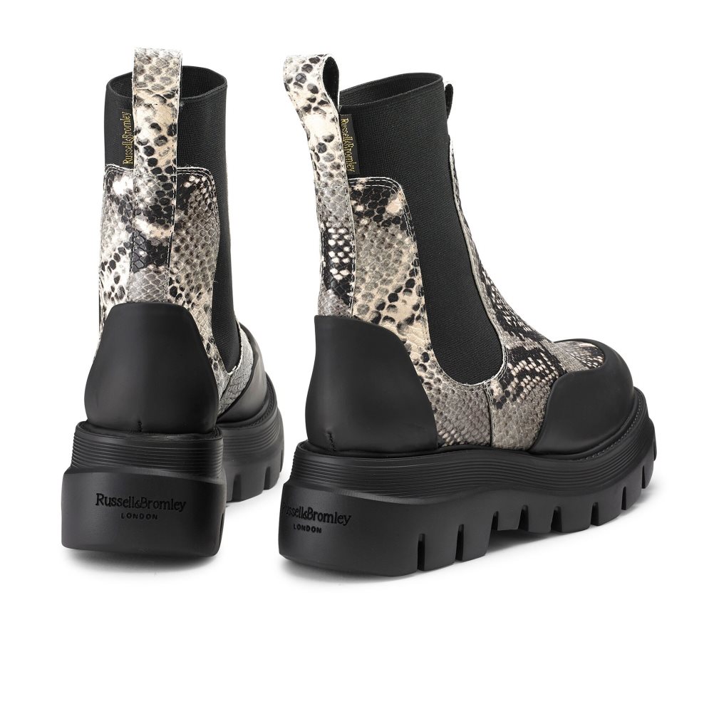 Snake / Black Russell And Bromley Conquer Women's Chelsea Boots | CA-3671Z