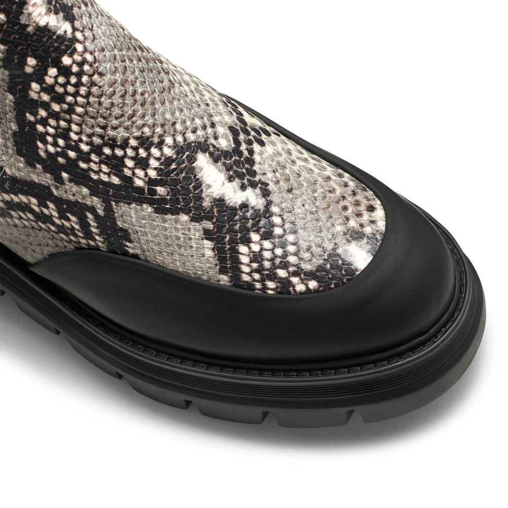 Snake / Black Russell And Bromley Conquer Women's Chelsea Boots | CA-3671Z